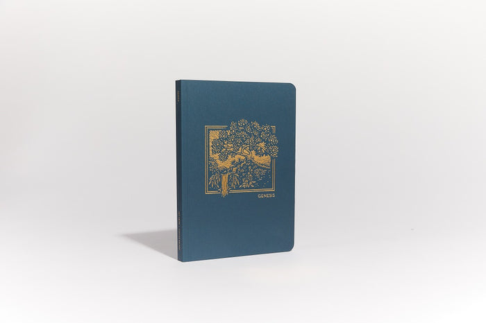 NET Abide Bible Journal - Genesis, Paperback, Comfort Print: Holy Bible