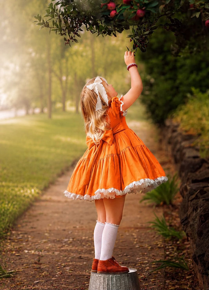 QUINN'S HARVEST DRESS *PRE-ORDER